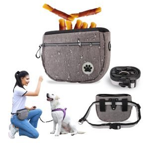 Pet Snack Bag for Walking & Training