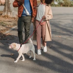 Nylon Dog Mouth Leash for Walking