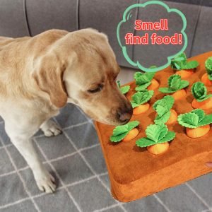 Carrot Plush Chew Toy ?C Durable Vegetable Toy for Dogs & Puppies